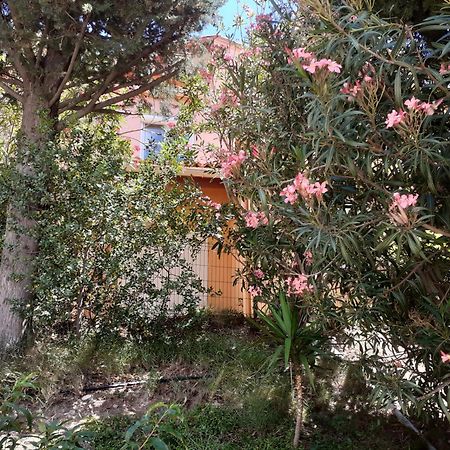Bel Appartement Bord De Mer Cerbère Zewnętrze zdjęcie
