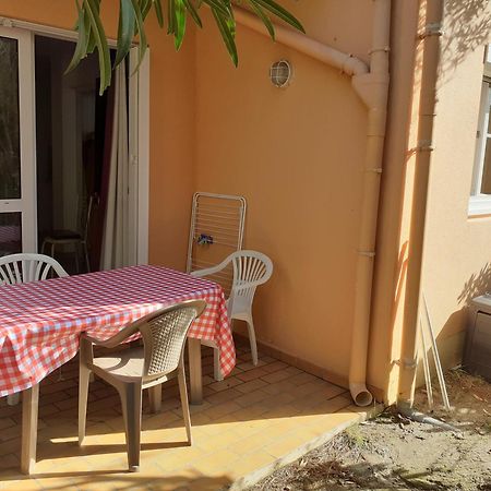 Bel Appartement Bord De Mer Cerbère Zewnętrze zdjęcie