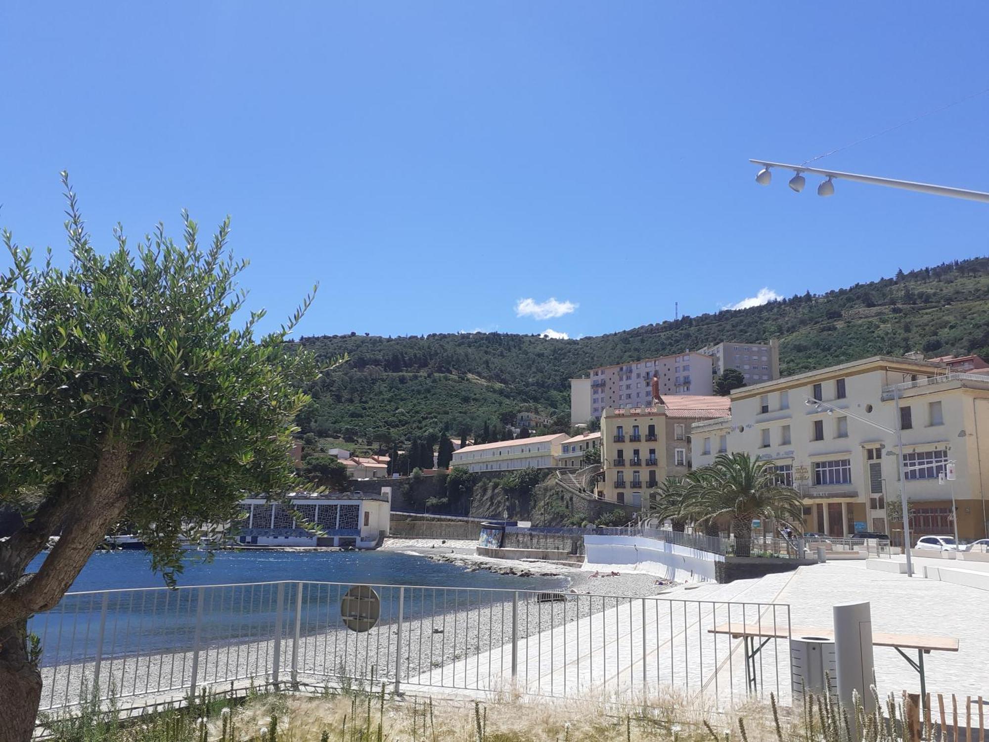 Bel Appartement Bord De Mer Cerbère Zewnętrze zdjęcie