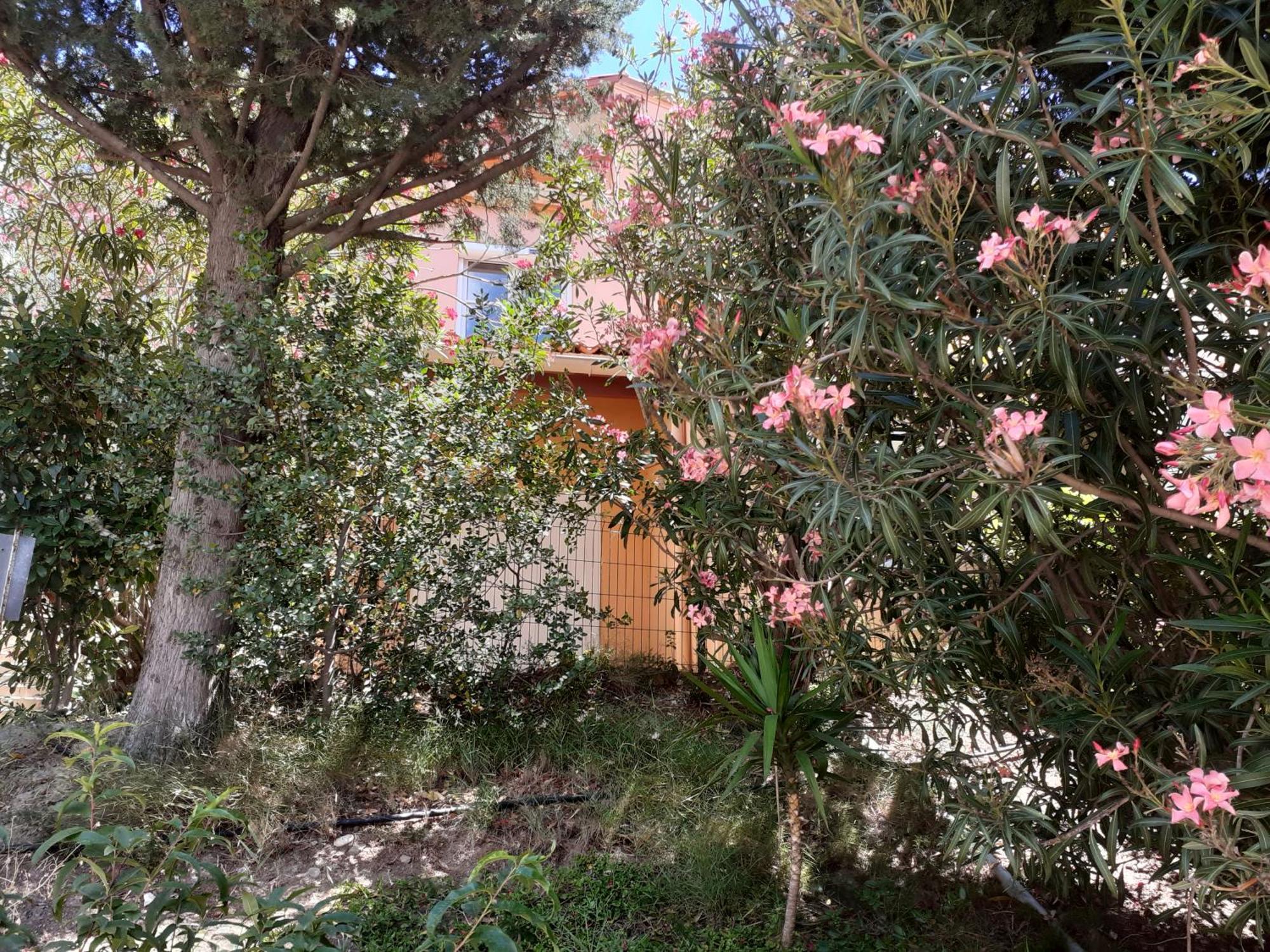 Bel Appartement Bord De Mer Cerbère Zewnętrze zdjęcie