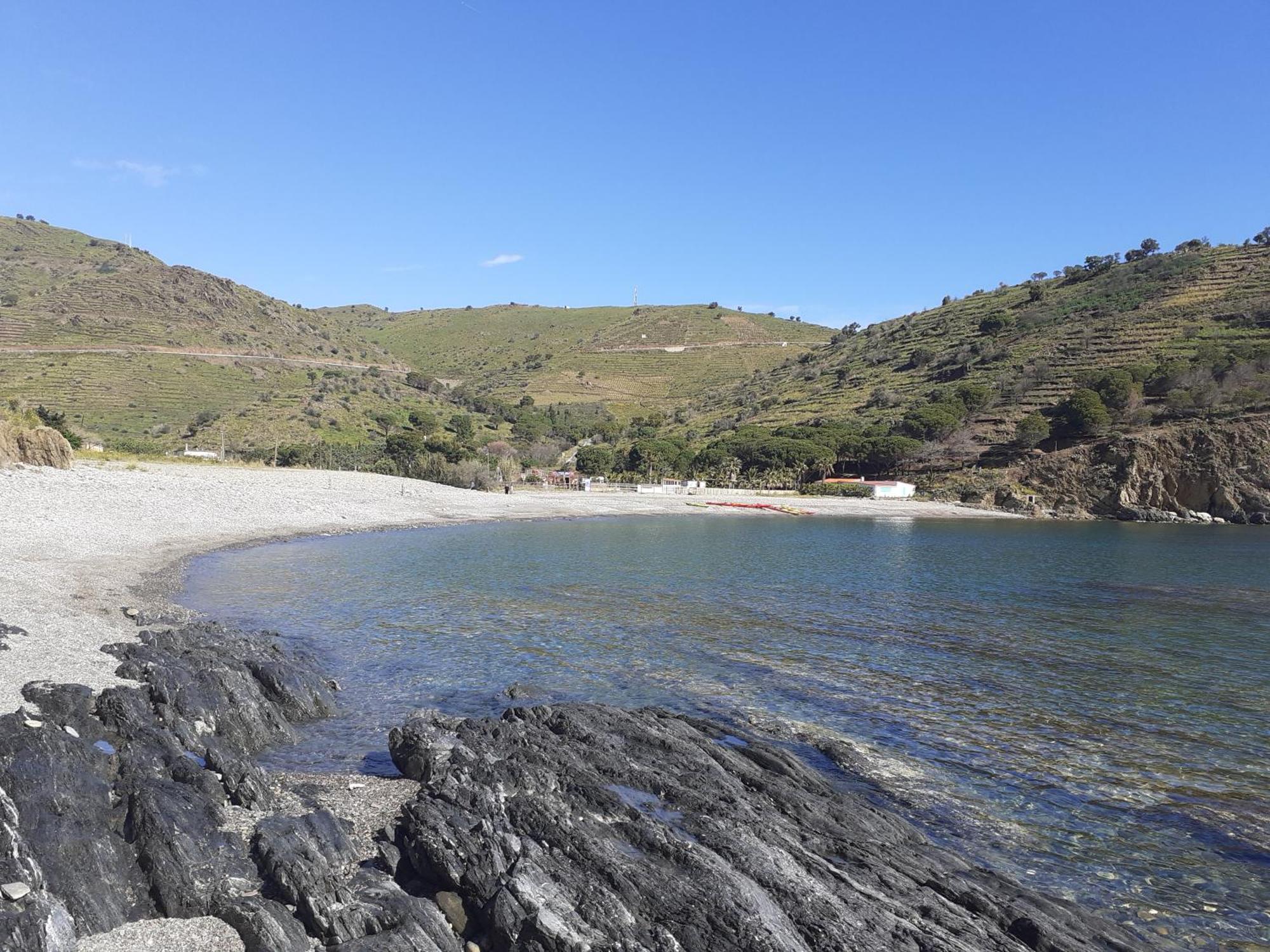 Bel Appartement Bord De Mer Cerbère Zewnętrze zdjęcie