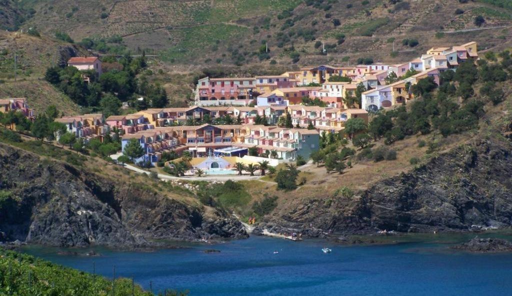 Bel Appartement Bord De Mer Cerbère Zewnętrze zdjęcie